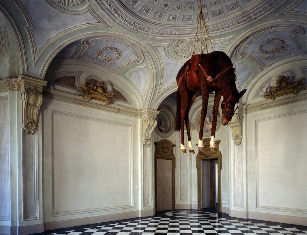 Novecento, 1997, cavallo in tassidermia