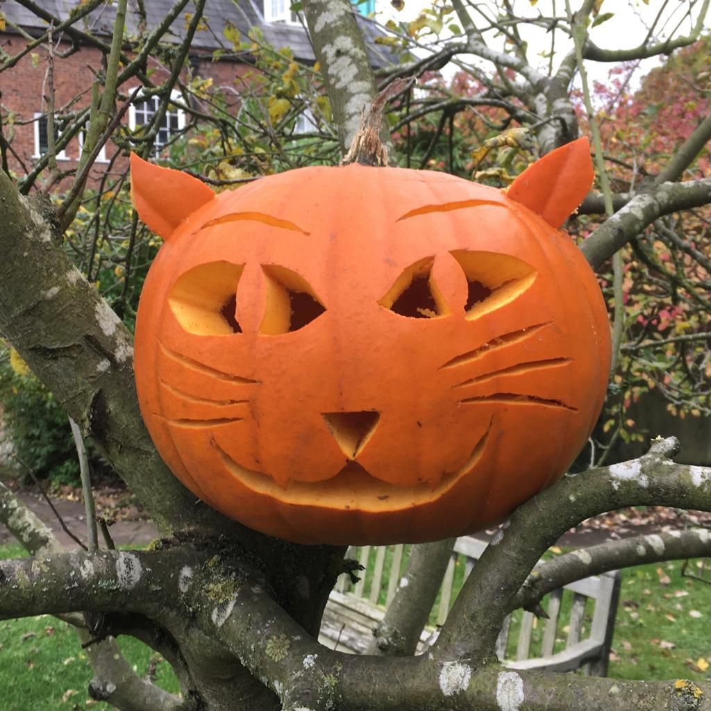 Zucca di Halloween a forma di gatto