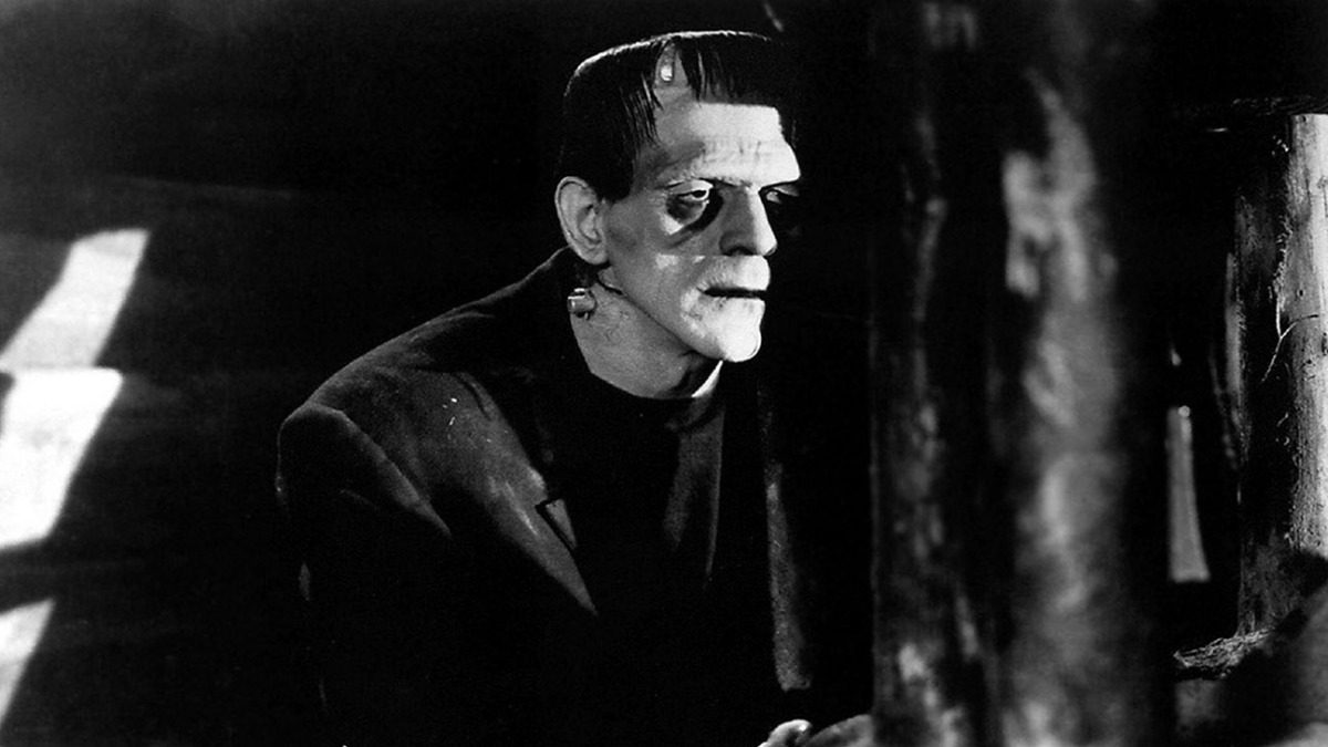 Frankenstein, Boris Karloff nel film