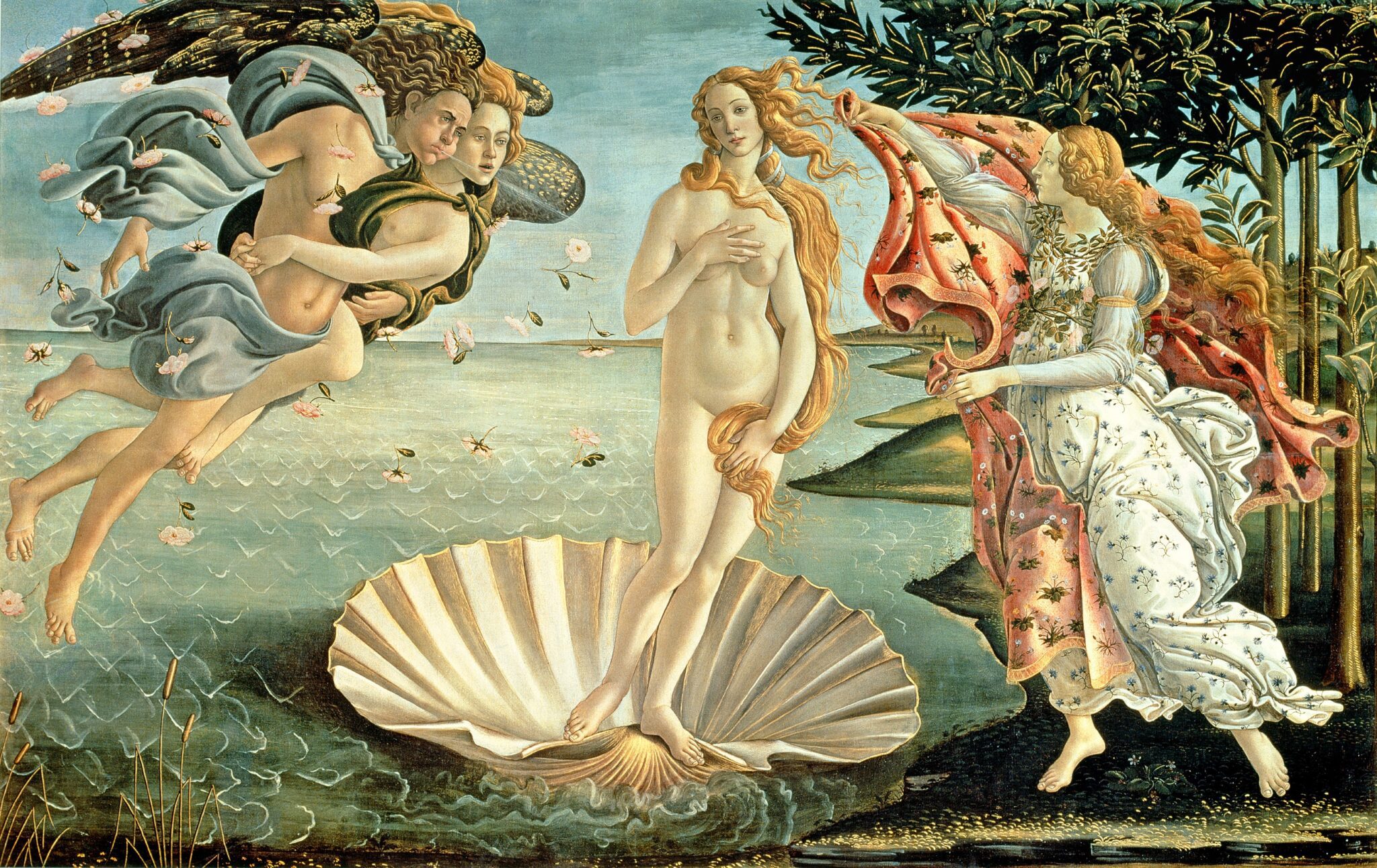 La Venere del Botticelli