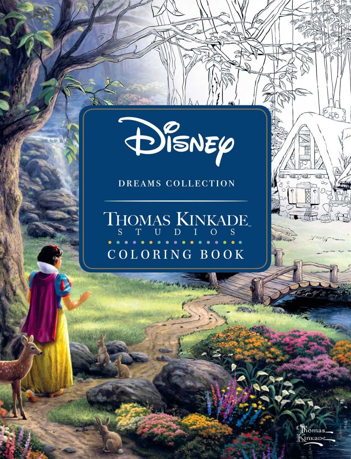 The Disney Dreams Collection, libro