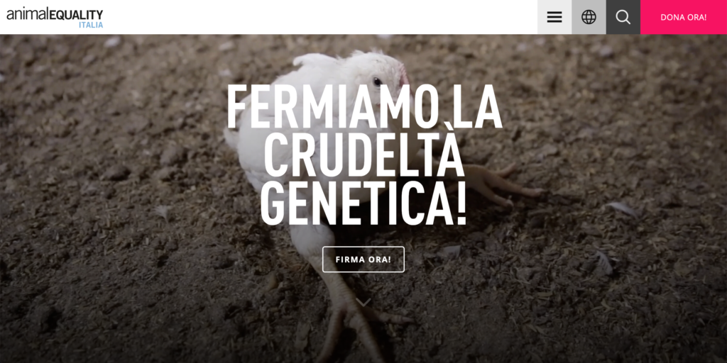 Homepage di Animal Equity Italia
