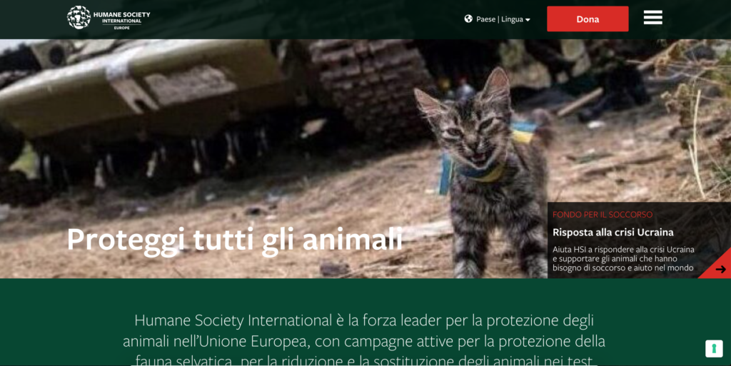Homepage di HSI Italia