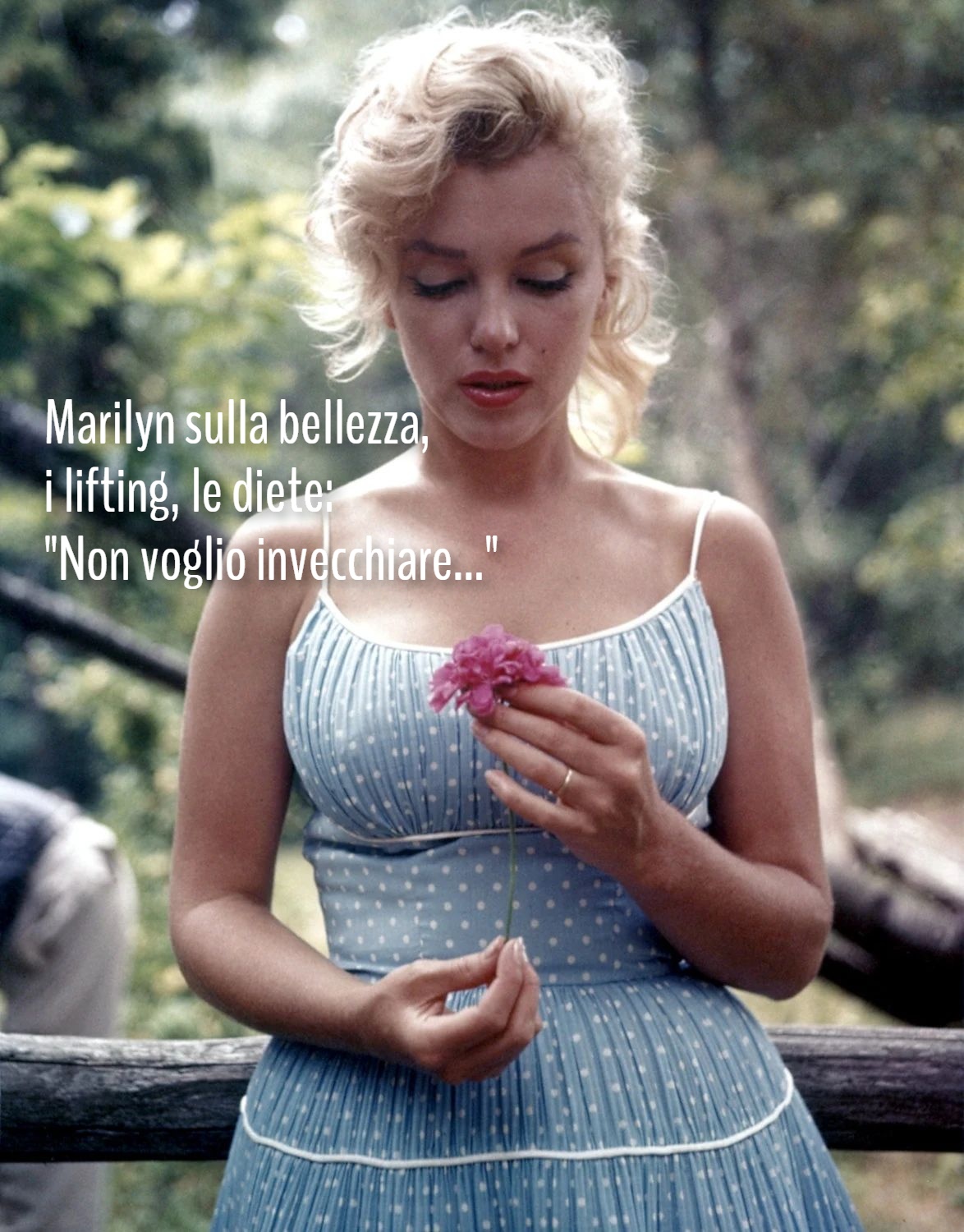 Marilyn Monroe, frasi sulla bellezza, lifting e dieta