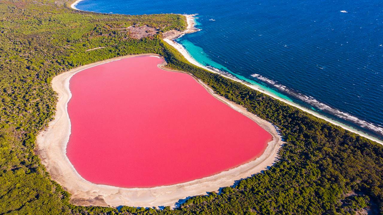 Il fenomeno dei pink lakes in Australia