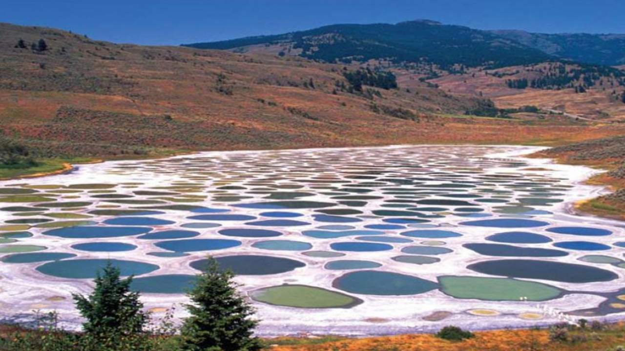 Lo Spotted Lake in Canada