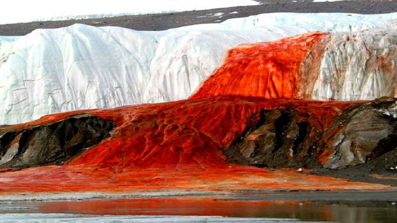 Le blood falls ossia le cascate di sangue in Antartide