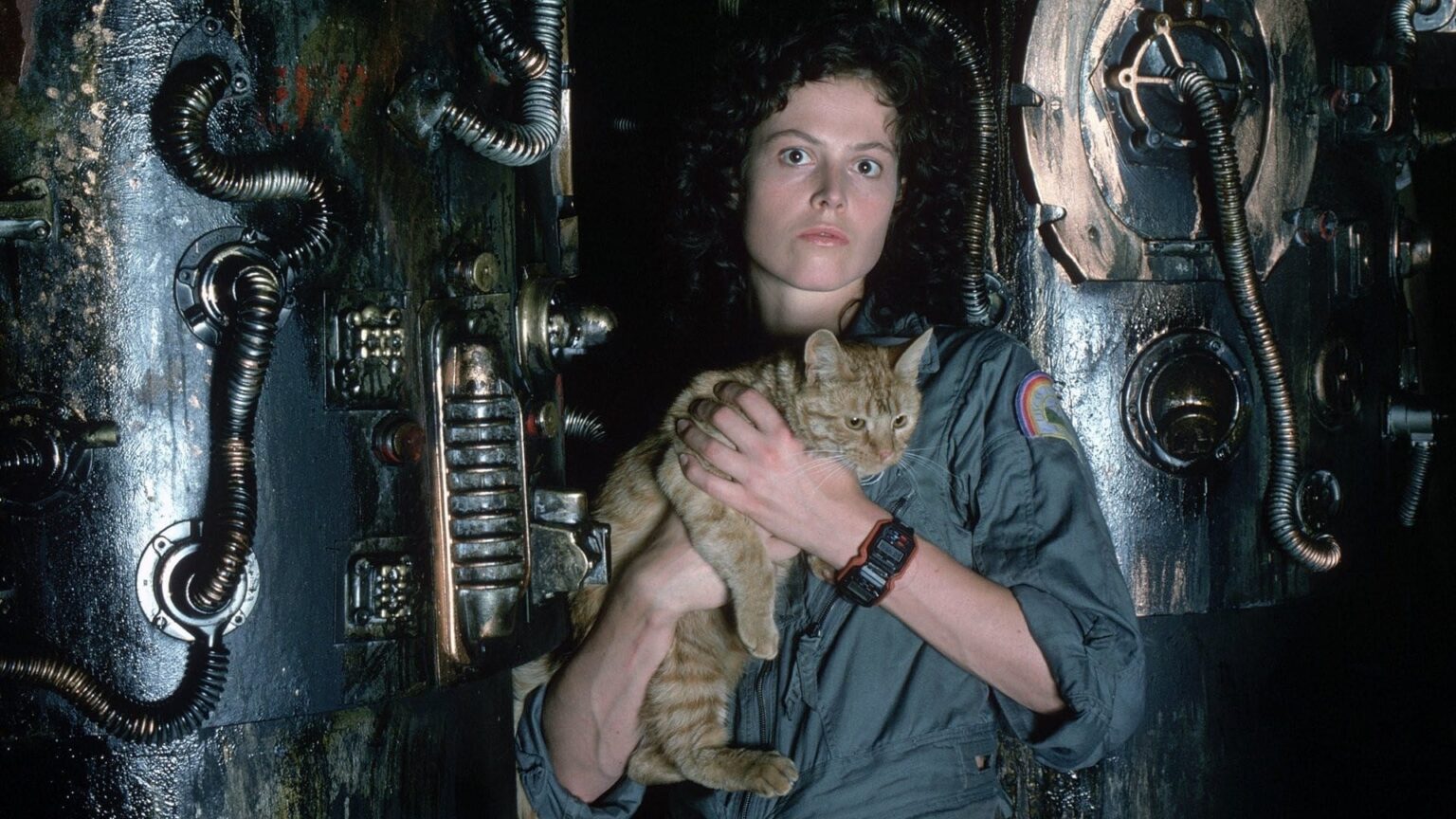 Mezza figura di Sigourney Weaver con gatto in Alien (1979)