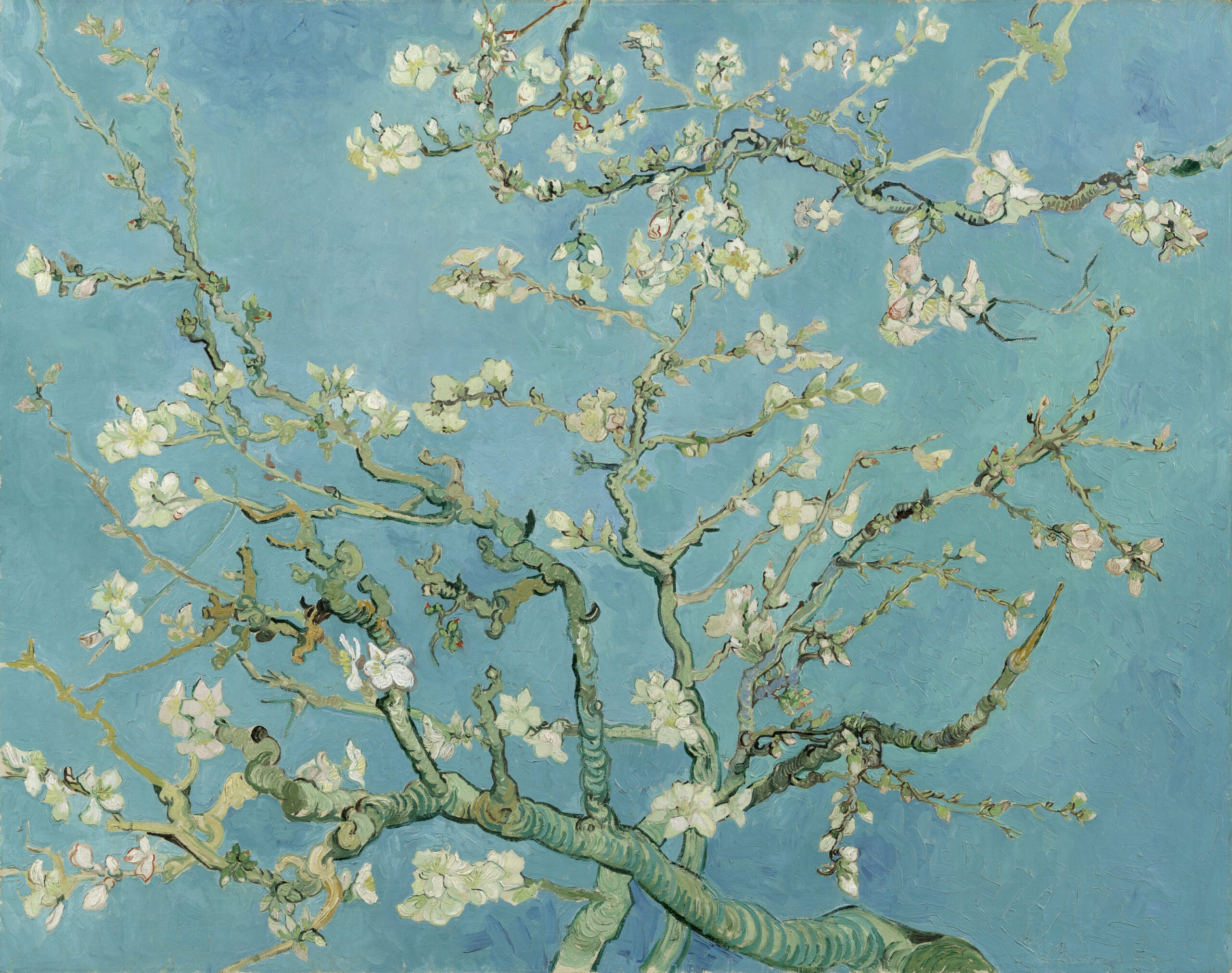 Ramo di mandorlo in fiore - Vincent Van Gogh