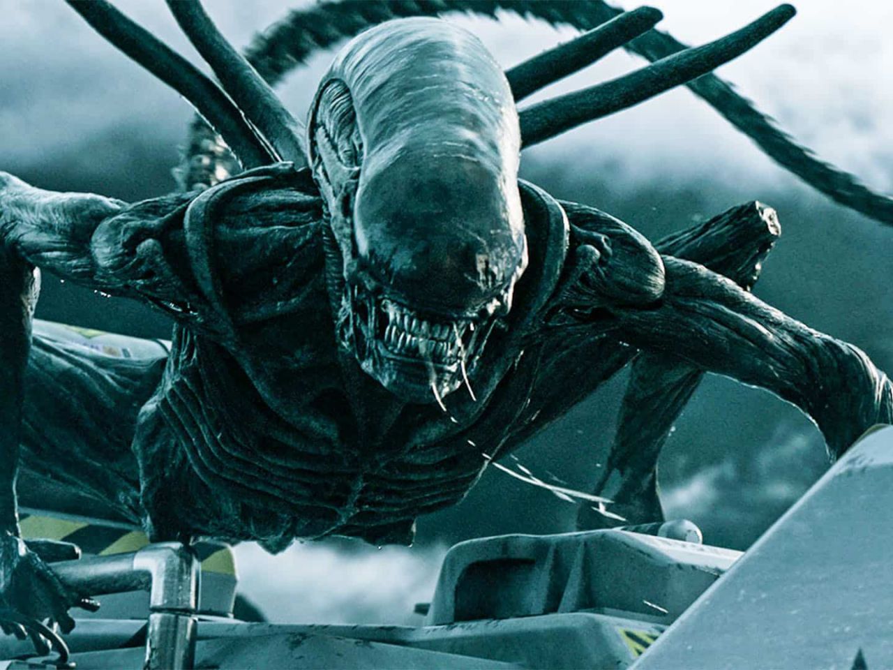Alien