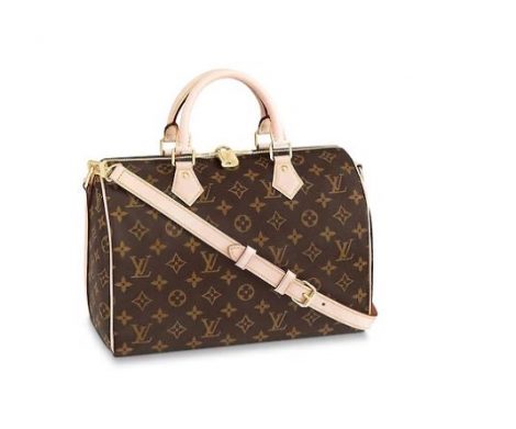 una borsa Louis Vuitton