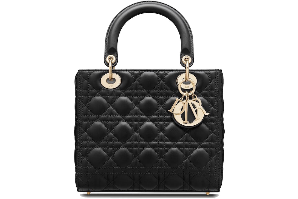 una borsa di Christian Dior