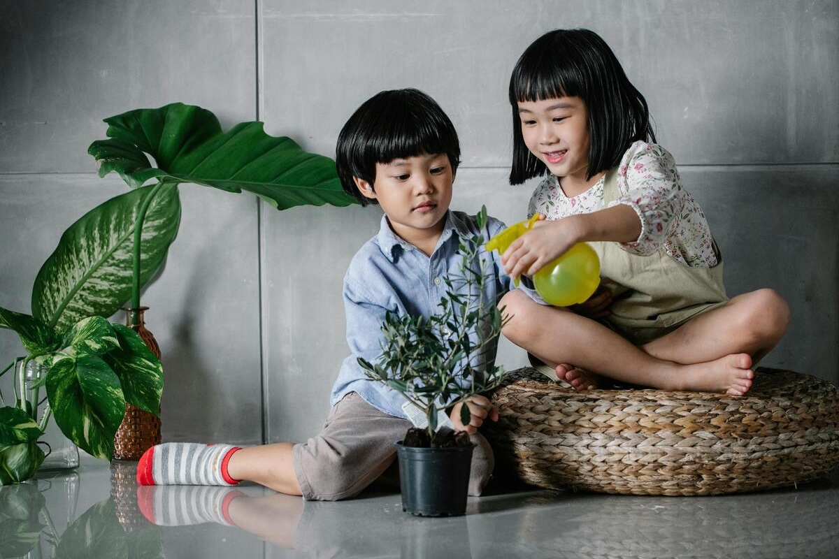 bambini innaffiano piante