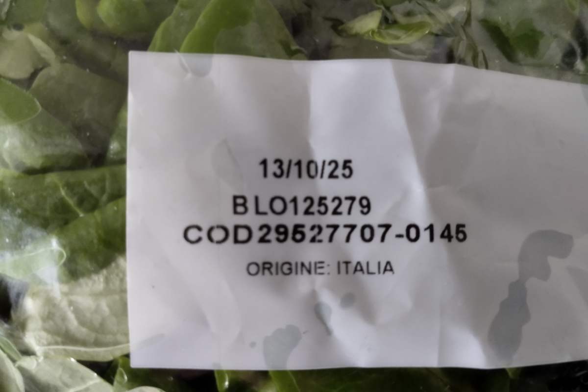 data di scadenza su insalate preconfezionate